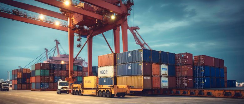 Importadora Área Educacional